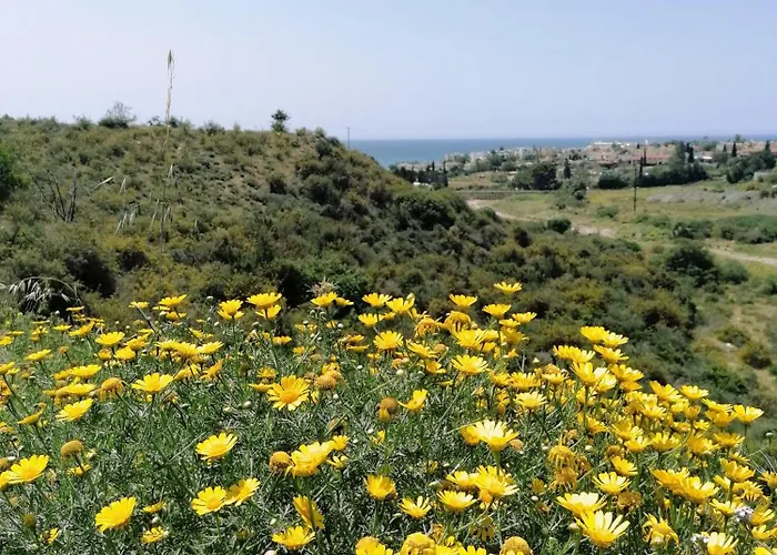 Bus Unique & Private 3 Min From Coral Bay *