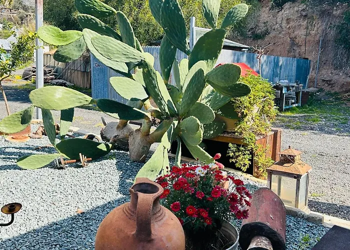 Kemp Bus Unique & Private 3 Min From Coral Bay *