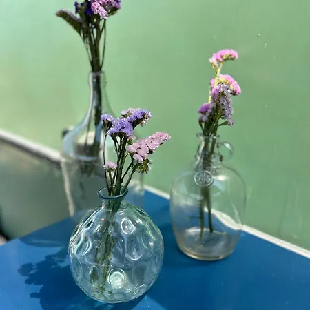 Campingplads Bus Unique & Private 3 Min From Coral Bay Akoursos