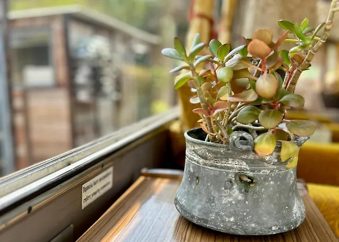 Bus Unique & Private 3 Min From Coral Bay * Akoursos